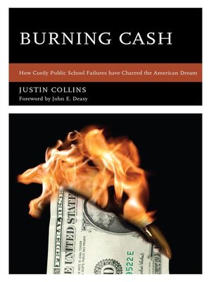 cover image of Burning Cash